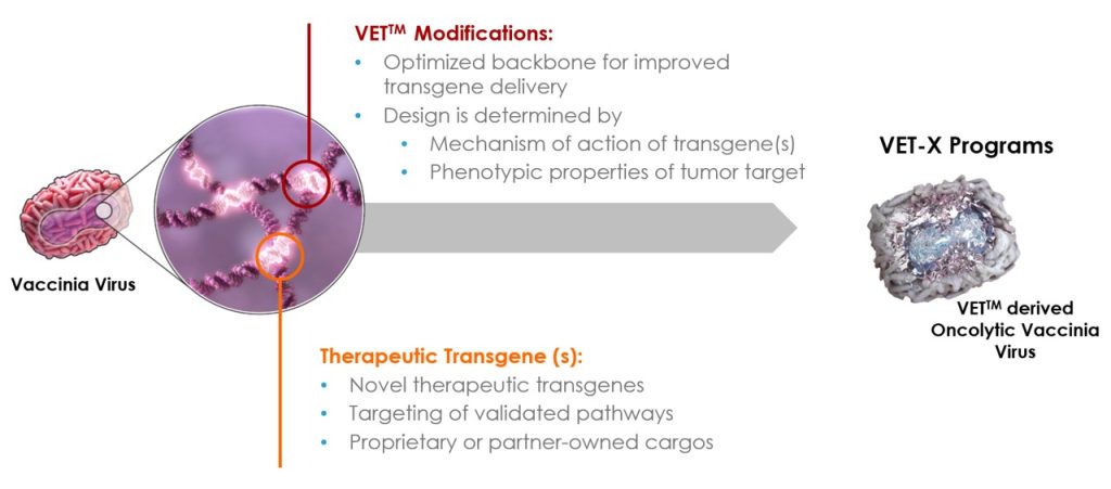 OUR APPROACH - KaliVir Immunotherapeutics